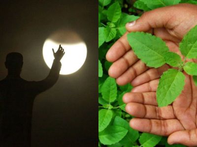 Tulsi Upay in Hindi on Chandra Grahan Tulsi Upay in Hindi on Chandra Grahan