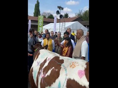 UK PM candidate Rishi Sunak performed cow worship with wife in London got praise from Indians Video viral UK PM candidate Rishi Sunak performed cow worship with wife in London got praise from Indians Video viral