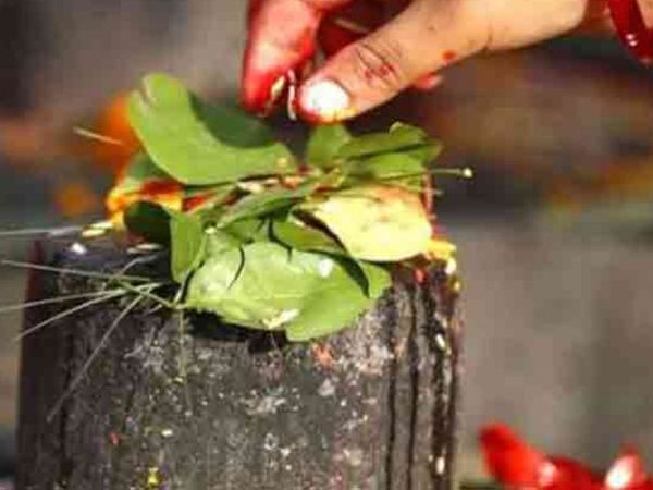 Sawan mein kundli dosh khatm karne ke upay shravan 2020 remedies for astro defects shiv pooja 