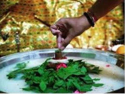 Shiv ji Rudrabhishek puja mantra vidhi in hindi Shiv ji Rudrabhishek puja mantra vidhi in hindi
