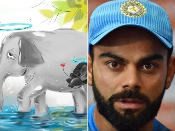 Virat Kohli reacts on killing of an Elephant