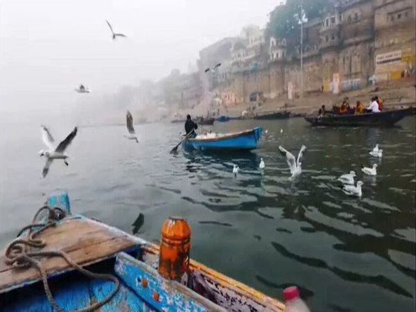 Varanasi Election and Vendor 