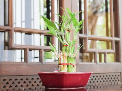 Vastu Tips