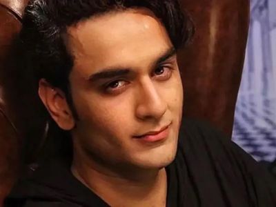 Vikas Gupta Instagram account crash Vikas Gupta Instagram account crash