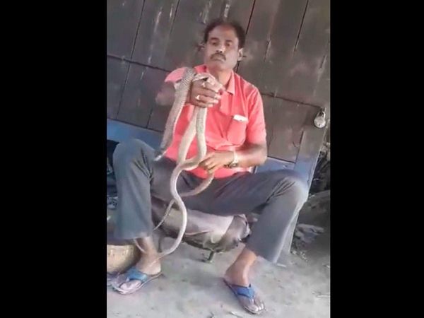 Bihar News Viral Video of LJP Leader Bechu Tiwari with Snakes