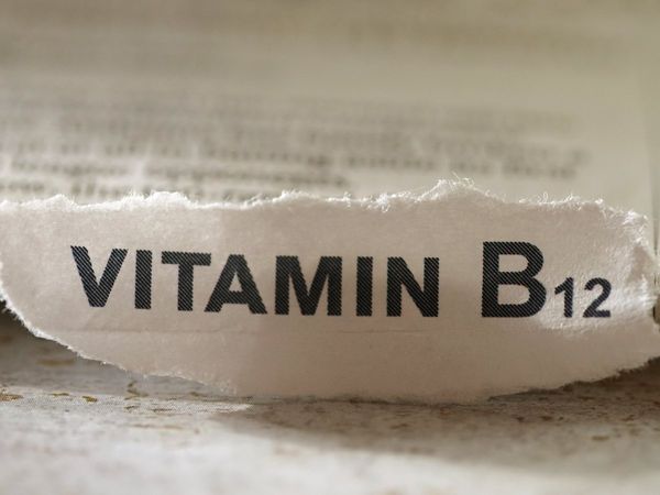Vitamin B12 foods
