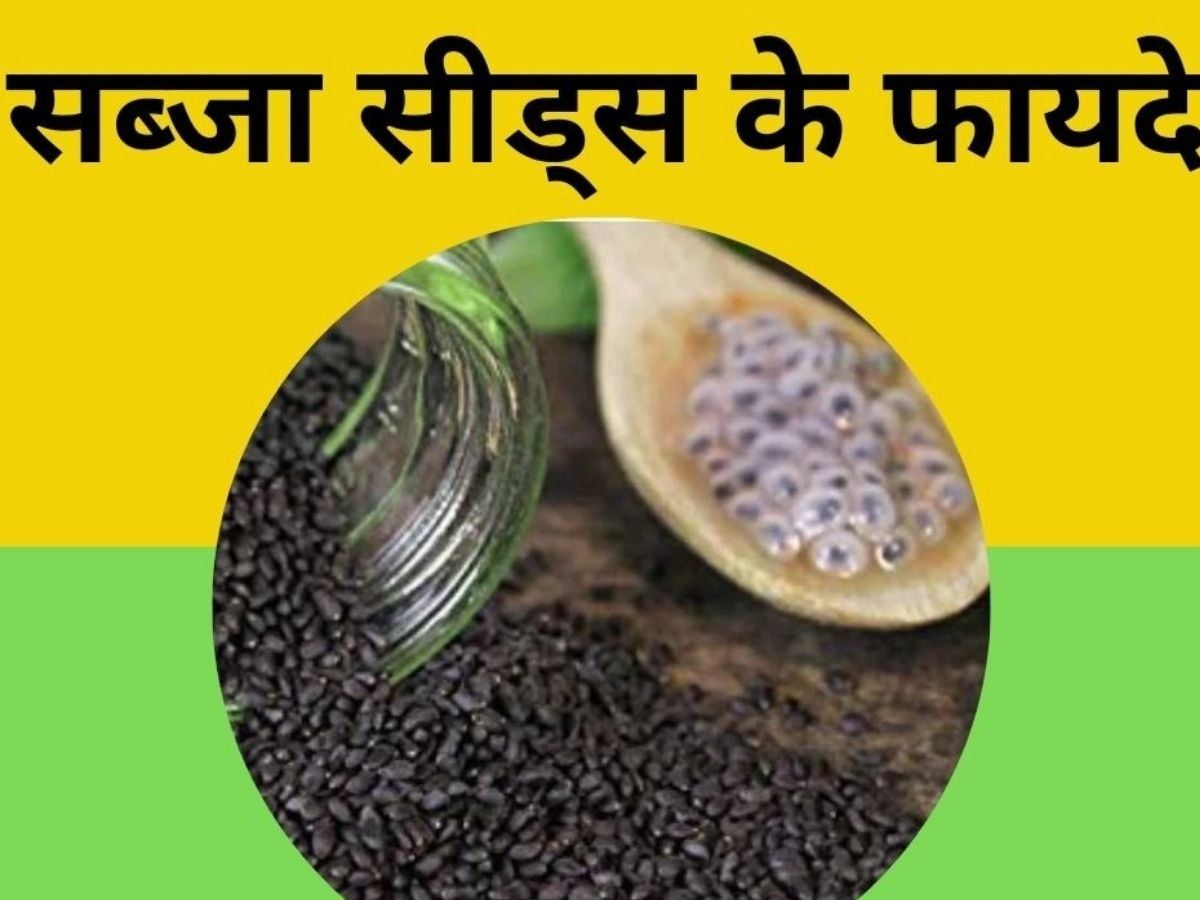 Sabja Seeds for Weight Loss sabja seeds for weight loss in summer