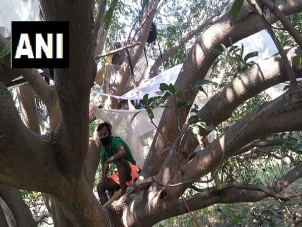 West Bengal migrant labourers who returned to village quarantine themselves on tree branches