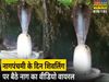 Naag was sitting on Shivling On Nagpanchami Video Goes Viral
