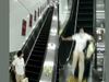Woman who was going down the escalator gets thrown off after a falling suitcase hits her Watch Video