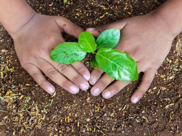 World Environment Day