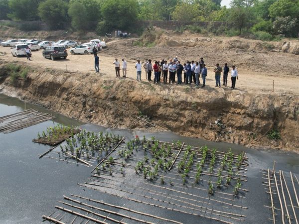 Yamuna River pollution