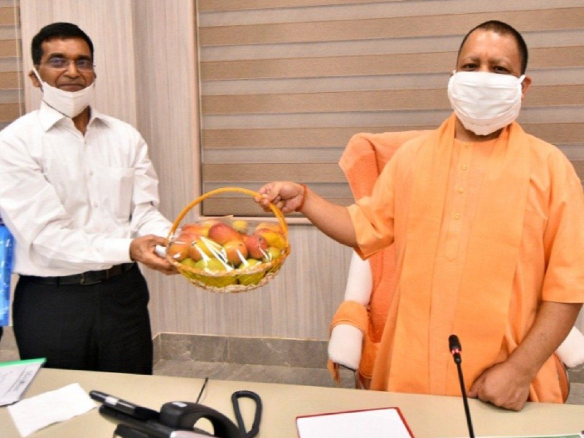 योगी आदित्यनाथ ने कहा- UP में आम की अच्छी किस्में, की जाए अंतरराष्ट्रीय स्तर पर ब्रांडिंग