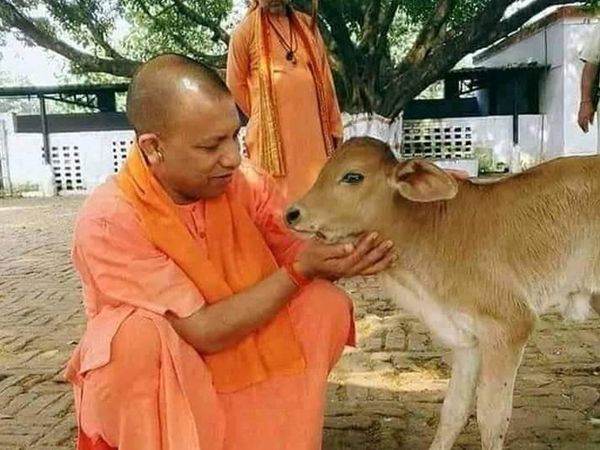 Yogi adityanath CM Uttar Pradesh