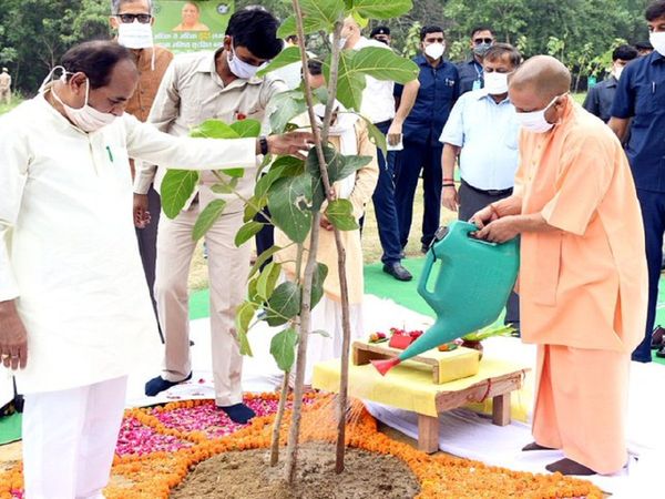 Yogi Adityanath kicked off the drive by planting a sapling in Kukrail reserve forest in Lucknow