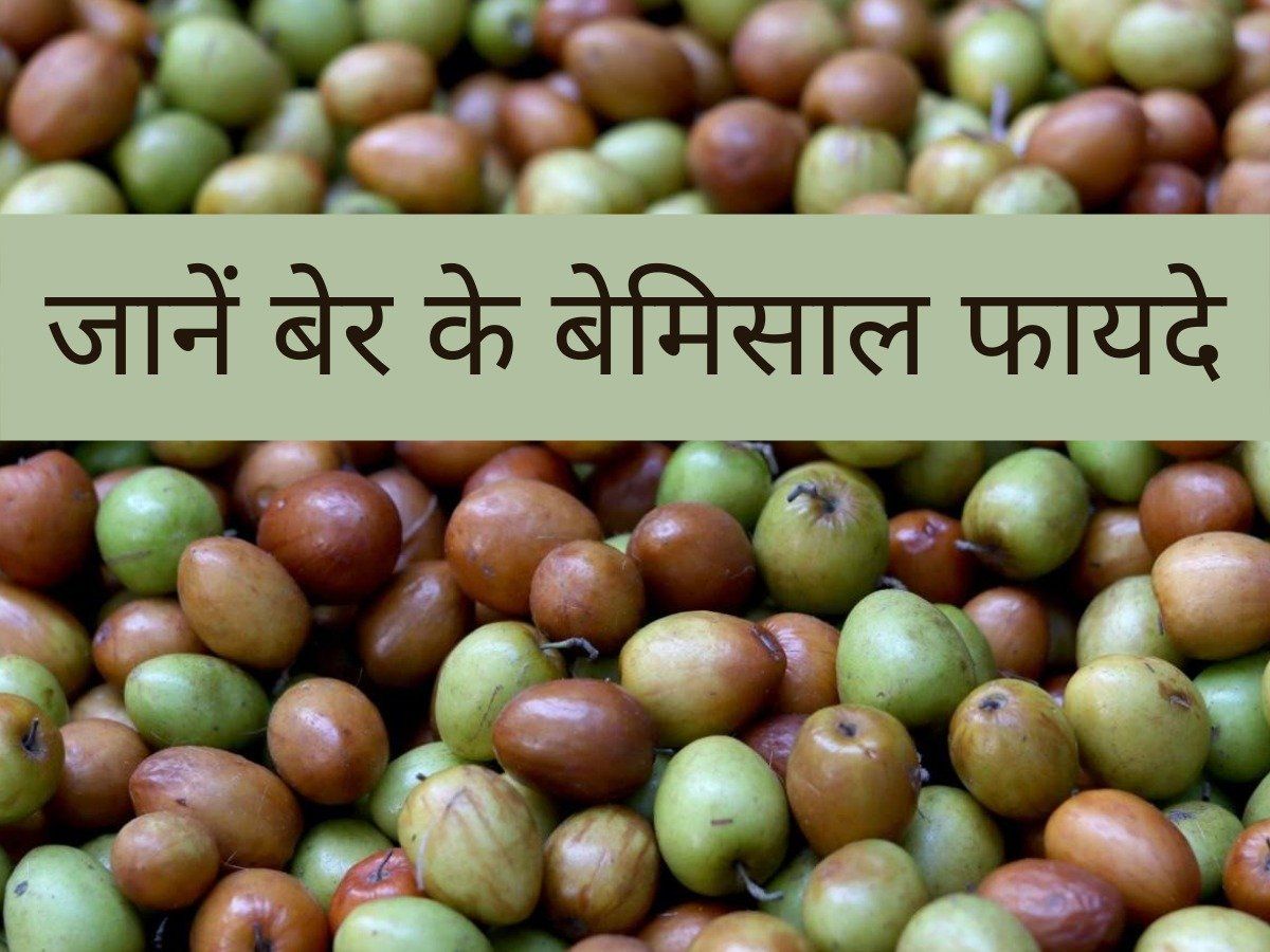 ber-fruit-health-benefits-in-hindi-ber-fruit-health-benefits