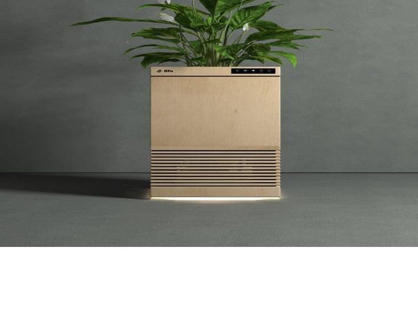 Plant based Air purifier