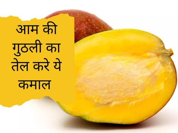 Health benefits of mango seed oil