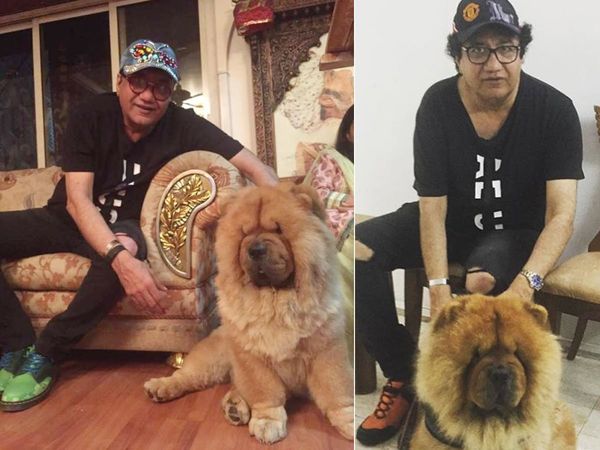 Abu Malik dog Genghiz Khan death| Abu Malik Bigg Boss 13 contestant files Police case on clinic|