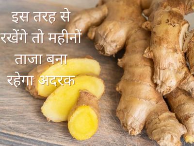 how to store ginger in cold how to store ginger in cold