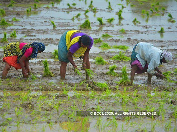 Pradhan Mantri Fasal Bima Yojana