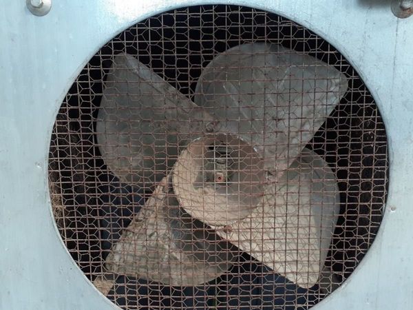 Cooler Cleaning Tips