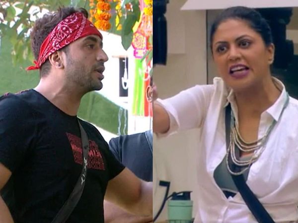 Bigg Boss 14: Aly Goni and Kavita Kaushik