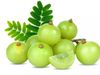 Amla oil Benefits for skin