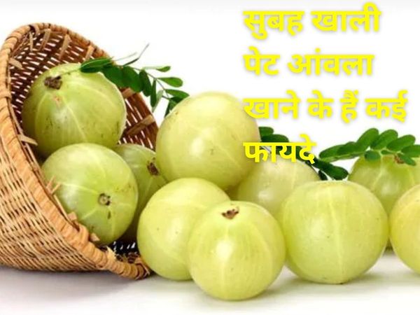  amla