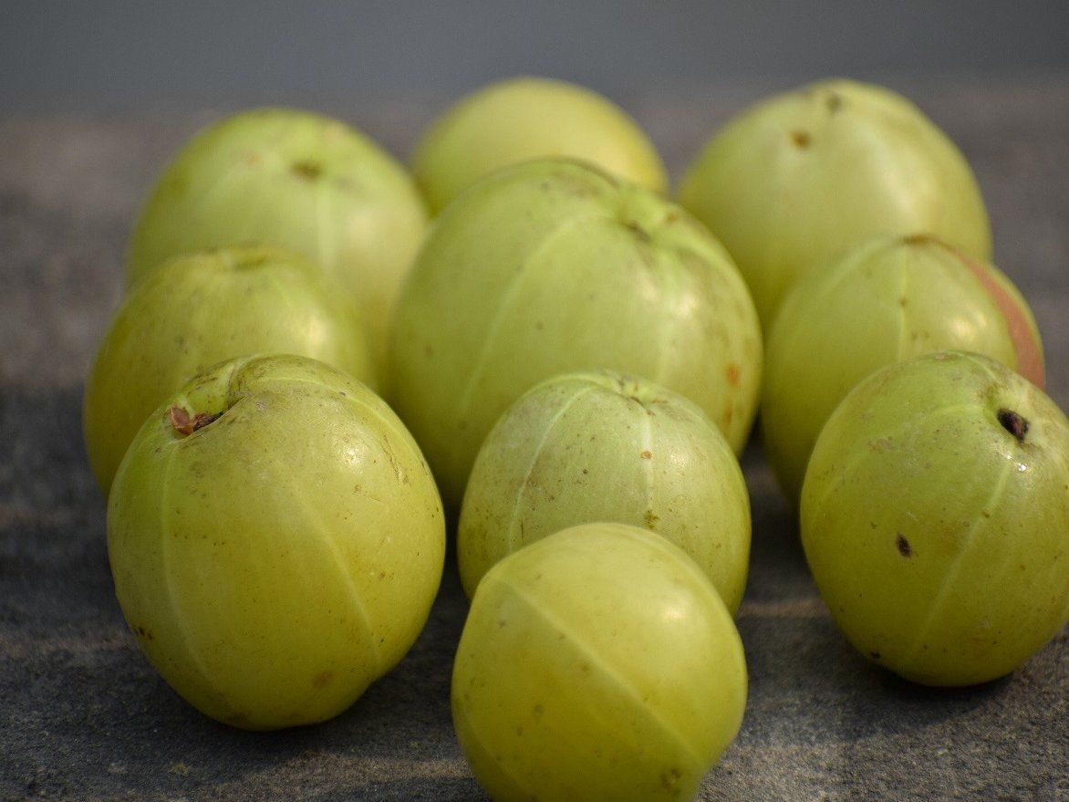 Amla ke Fayde: कई चमत्कारिक गुणों से भरा है आंवला, जानिए इसे खाने के अनगिनत फायदों के बारे में