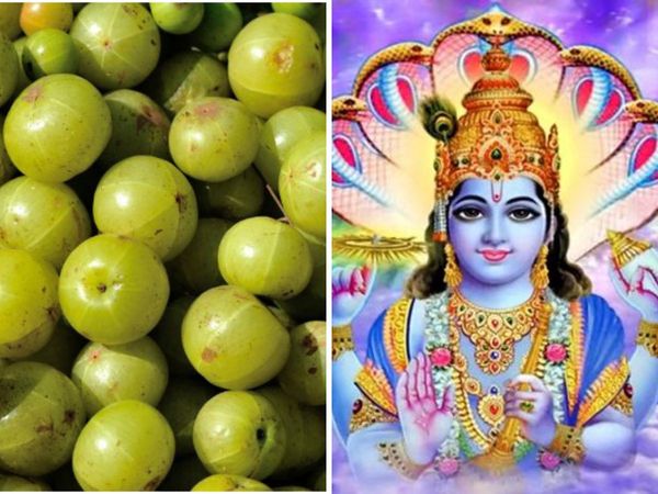 Amla Navami ki katha kahani in hindi 