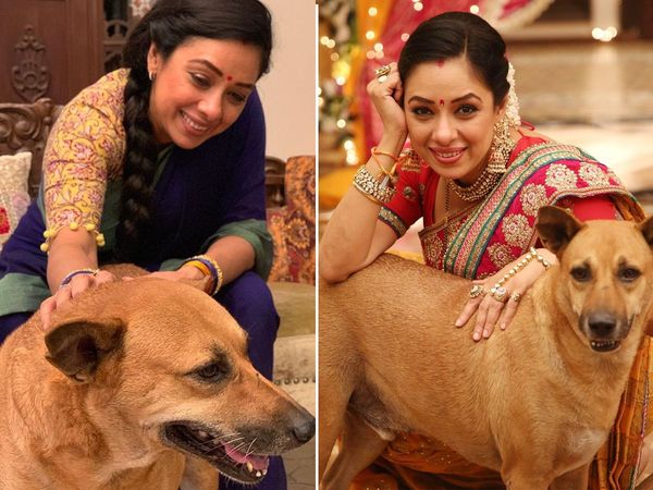 Rupali Ganguly Anupamaa Actress Taking Care Of many stray dogs On The Sets