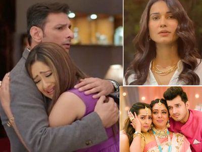 Anupamaa Star plus serial Upcoming 3 Twist Anirudh back And Malvika's toxic relationship to Nandini break marriage 