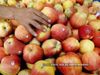 HP Siva Project : Himachal Pradesh to become fruits state, 25000 families will get employment