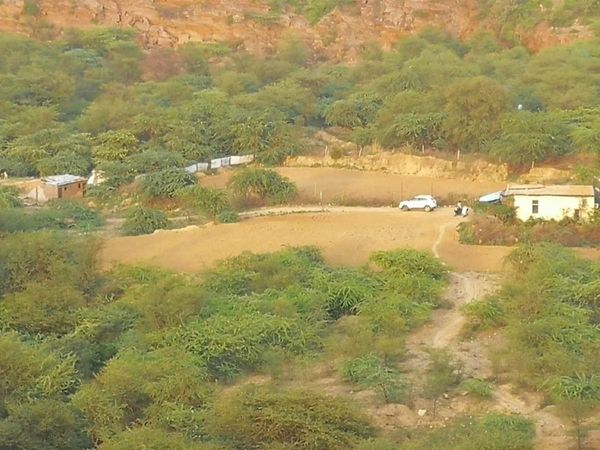 Jungle Safari in gurugram