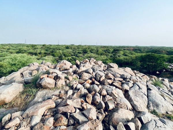 Forest town on the Aravalli