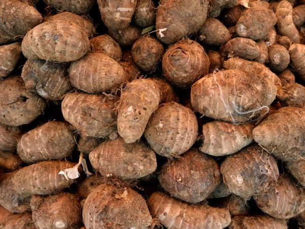 How to Peel Arvi, 3 easy hack way to peel arbi, easy way to peel arbi, how to peel arbi quickly, how to peel arbi without itching, how to peel arbi easily, अरबी को कैसे छिले,  अरबी को छीलने का आसान तरीका, अरबी छीलने का आसान टिप्स, अरबी छिलने का घरेलू नुस्