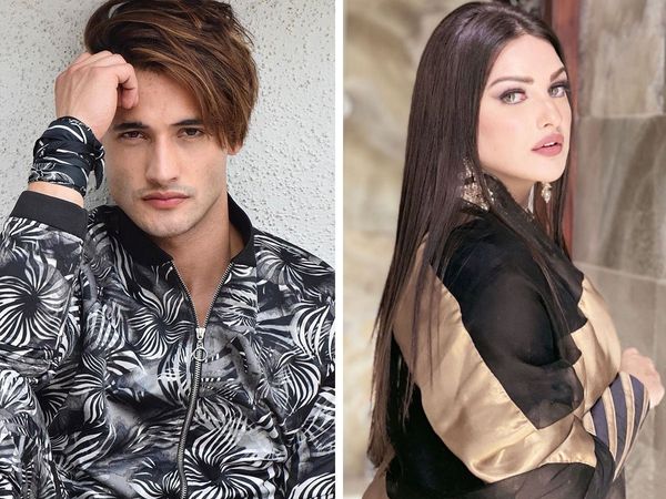 bigg boss 13 Contestant Asim Riaz Himanshi Khurana Called It Quits ?