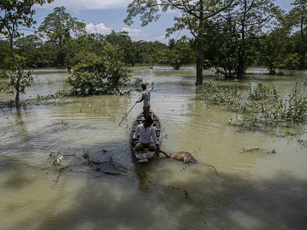 assam flood