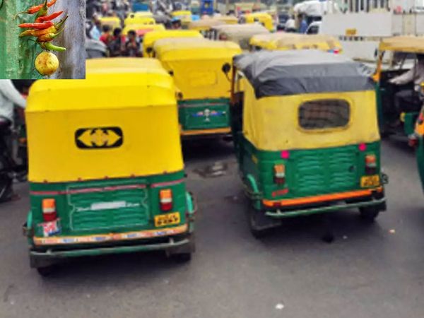 lemon and pepper in Car