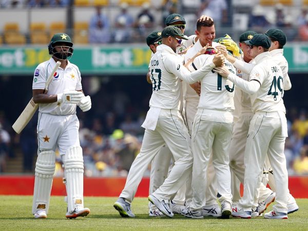 aus vs pak: josh hazlewood celebrates wicket of azhar ali