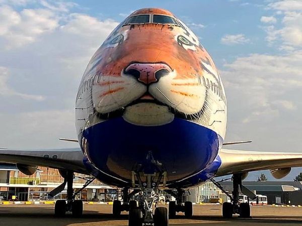 Namibian Cheetah, Special Plane, Kuno National Park, PM Narendra Modi Birthday,