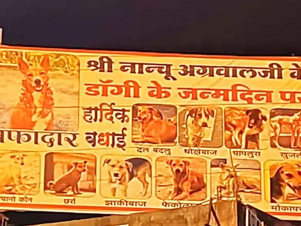 baitul dog bithday hordings