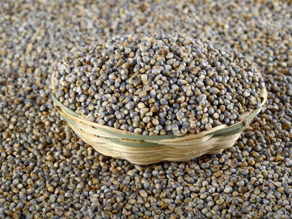 Health Benefits And Side Effects Of Bajra In Hindi
