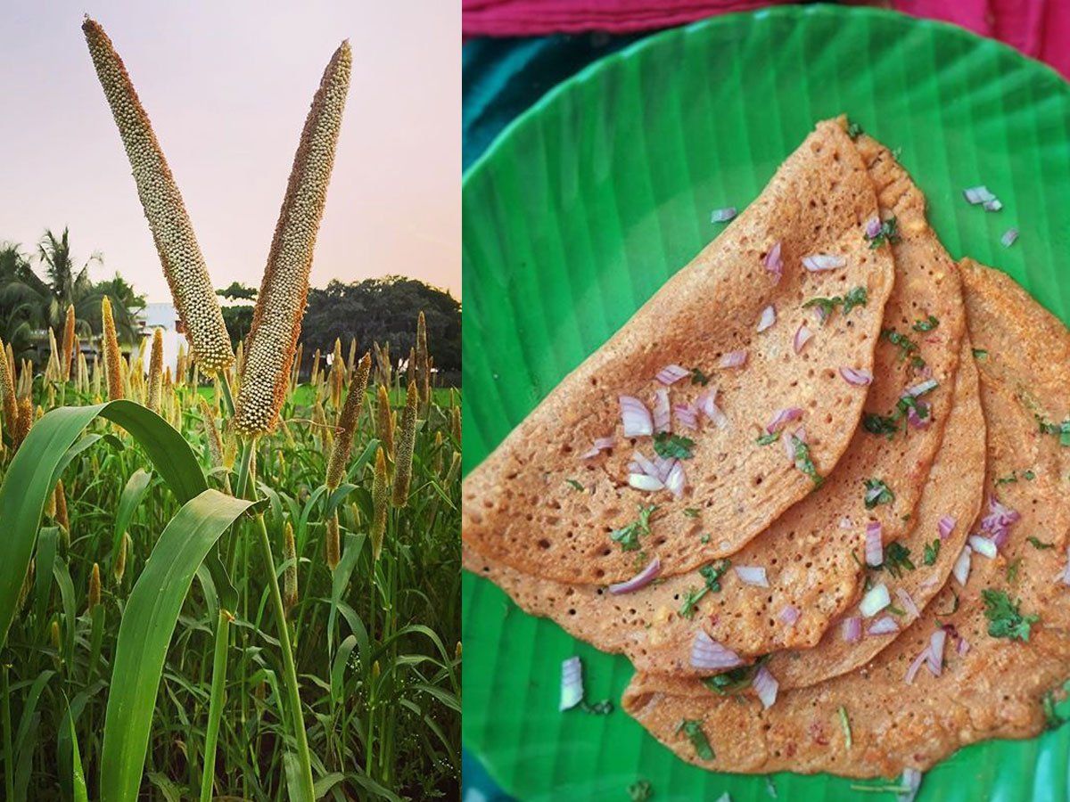 Millet Benefits पोषक तत्वों से भरपूर है बाजरा, स्वास्थ्य से लेकर त्वचा तक को पहुंचाता है लाभ