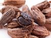 Black Cardamom Badi Elaichi Benefits Side Effects And Uses In Hindi