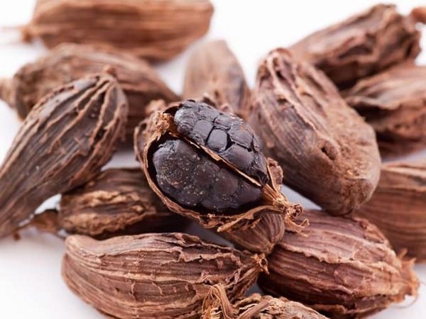 Black Cardamom Badi Elaichi Benefits Side Effects And Uses In Hindi