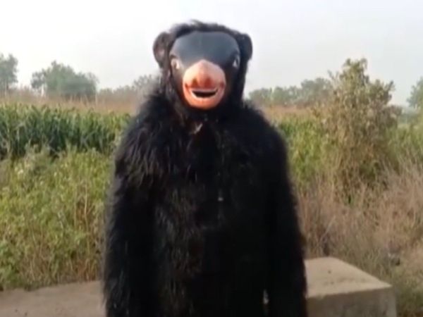 Jugaad Video man wears bear costume to keep monkeys away from crops Watch Viral Video