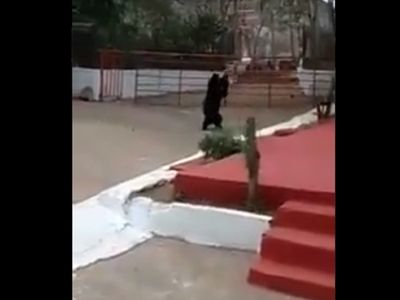 Viral photo Viral photo