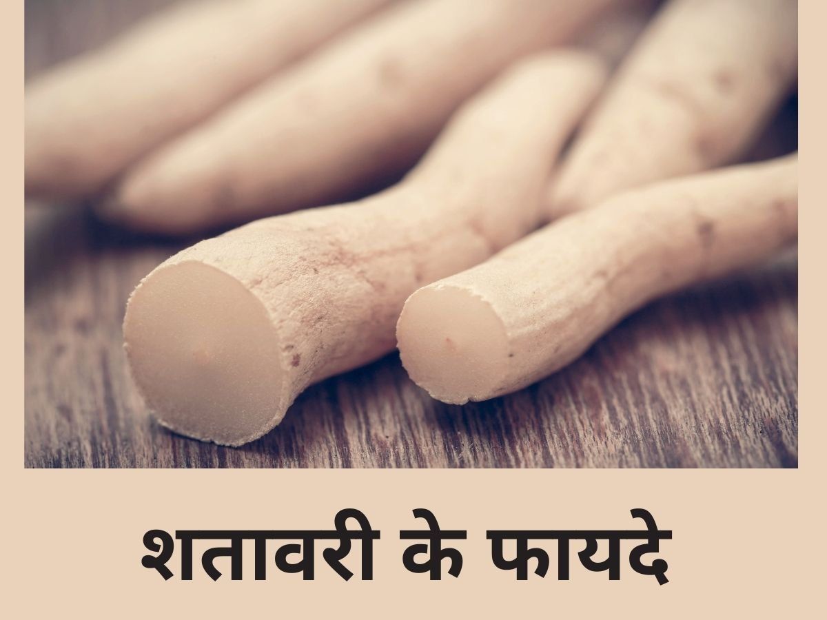 Benefits of Shatavari: बड़े काम की है शतावरी, महिलाओं की इन समस्याओं को करे दूर